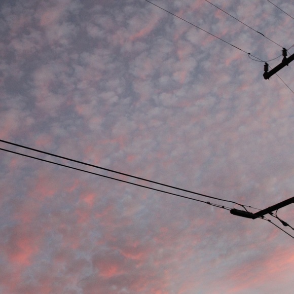 Meet your Posher, Ava - Picture 1 of 1